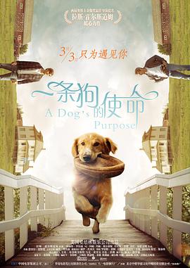国产亚洲一二三区