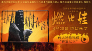 精品国产一区二区二三区在线观看