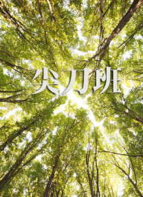 91视频入口