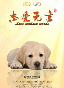 接待专家